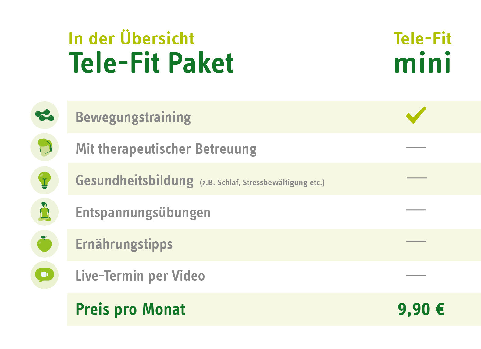 Tele-Fit mini Paket-Übersicht für das Online-Training-Programm des ZAR Friedrichshafen, perfekt für das Training zu jeder Zeit, an jedem Ort.