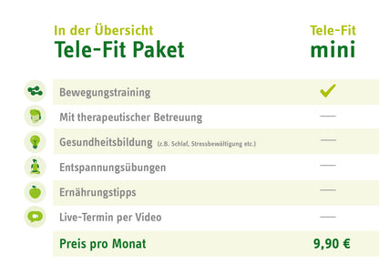 Tele-Fit mini Paket-Übersicht für das Online-Training-Programm des ZAR Friedrichshafen, perfekt für das Training zu jeder Zeit, an jedem Ort.